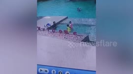Quick-thinking swimmer saves drowning child, 4, who climbed into deep pool