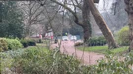 Murder hunt launched after teenage boy stabbed to death in park in broad daylight