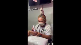 Purr-fect supervisor: Sleepy kitten takes a rest on nail tech's watchful head