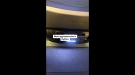 Aggressive ATM Spits Out Cash