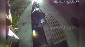 Pinellas County Sheriff's Office Rescues Duck Family in Heartwarming Leap Day Reunion in Florida, USA