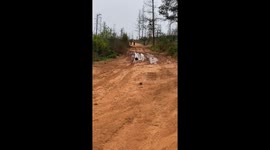 Dog Dives Straight Into Mud