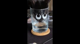 Cat Drinks From Googly Eye Glass