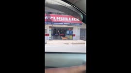 Philippine dog goes shopping with bucket in mouth