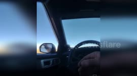 Sheriff catches escaped emu bird in Colorado