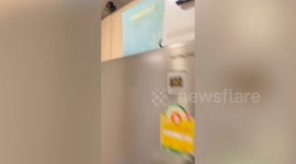 Pet marmoset monkey takes off with owner's money and refuses to give back