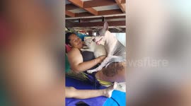 Pet cat and dog cuddles with owner during afternoon nap