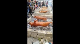 Unique street pig roasting festival in Vietnam