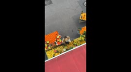 Man Throws Pineapple And Sprints Away