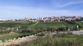 China-Algeria tree-planting activity held in Algiers