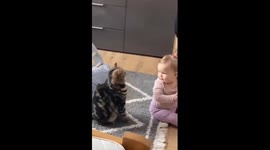 Cat vs. ponytails: adorable feline playtime with baby's hair