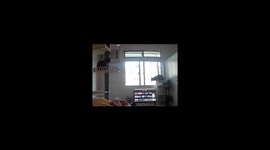 OMG! The cat crushed the screen