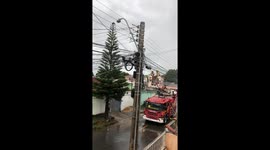 Firefighters Rescue A Cat Stuck in a Tall Tree