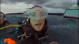 Divers in awe as underwater lights illuminate huge manta rays gliding past