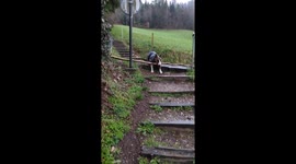 Bull Terrier's Big Stick Brain Teaser