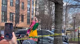 Woman dancing at 10th Annual Nowruz Festival (Persian New Year celebration)