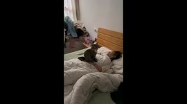 Chinese woman discovers cat on chest causing sleep discomfort