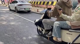 Pet collie 'helps' owners steer moving scooter by pushing along with front paws