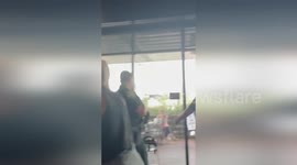 Vegan protester, 13, arrested over protest at Starbucks in Florida