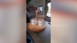 Couple quit 9-5 jobs to live in a van and drive 3,000 miles - to the Arctic Circle