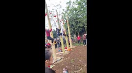 Hilarious scene as women attempt to climb tree trunks coated in oil
