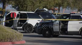 Man Covered in Ants Found Dead at Parking Lot in Santa Clarita, LA, USA