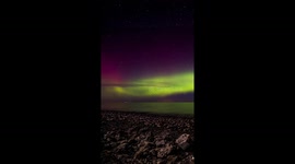 Epic time-lapse unveils nature's technicolor symphony in Klintebjerg, Denmark
