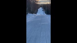 Caribou's Morning Prance