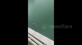 Rescuing a Drowning Woman in Nanning, China