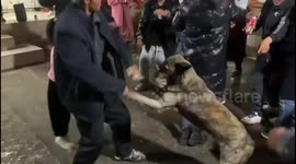 Dancing with the Dog in Baoshan, China