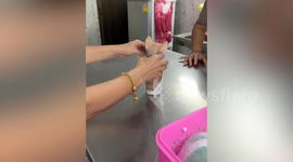 Cute ginger kitten sits inside plastic cup like plushie toy