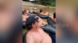Wild elephant swims on river while tourists enjoy tipsy tubing