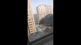 Wild eagle turns apartment building's window sill into private dining spot
