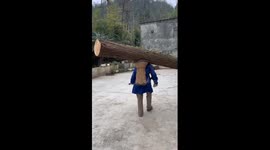 Pensioner carries huge tree branch on his back