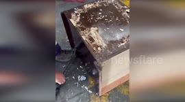 Guardia Civil Seizes $7.5 Million Worth of Cocaine in Operation IROKO in Algeciras, Spain