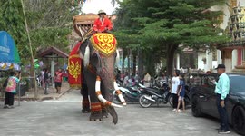 Philanthropist dresses in 15th century outfit and rides elephant while throwing money to the city's poor