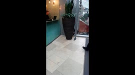 A pigeon walking undisturbed in a london supermall by itself