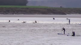 Surfers and kayakers take on natural tidal wave phenomenon in UK
