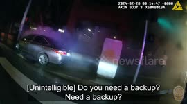 Police Heroic Efforts Fall Short as 16-Year-Old Girl Perishes in Tragic Car Fire in LA, USA