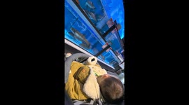Large fish at market leaps out of tank straight into shocked baby's lap in China