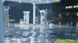 Stockshots: Rainfall in Valley Village, LA, USA
