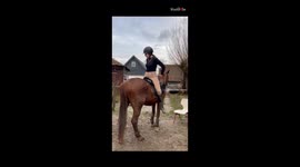 Woman almost pays groundbreaking price of horsing around