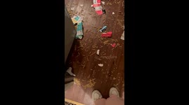 Canine connoisseur's hilarious take on a recent pasta delivery