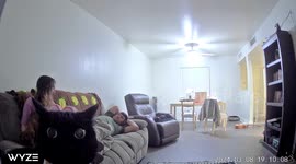 Cat vs. camera: Hilarious staring contest takes over Twentynine Palms living room