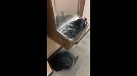 Black Water Pours Out of Drinking Fountain