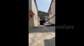 Two-Legged Dog Dash Happily Towards Owner in Guangdong, China