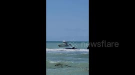 US: Sperm Whale Dies After Beached Off Florida Coast 3