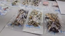 Brit, 48, arrested for 'dealing Class A drugs' as cops crack down on foreigners behaving badly in Thailand