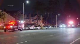 Fatal Auto and Pedestrian Collision in Northridge, LA, USA
