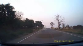 Quick-thinking driver stops when child emerges in road